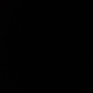 Meet your Posher, Dillon